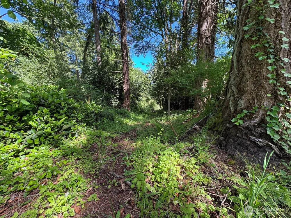 16330 93rd Avenue SW Vashon, WA 98070