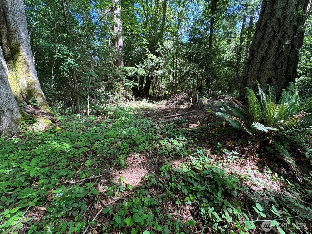 16330 93rd Avenue SW Vashon, WA 98070
