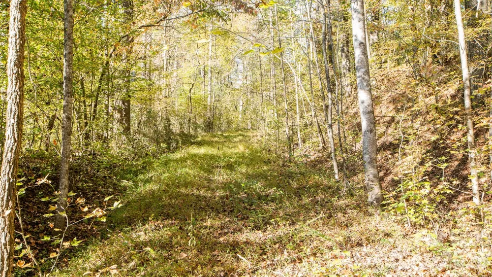 00 Industrial Park Road Lincolnton, NC 28092