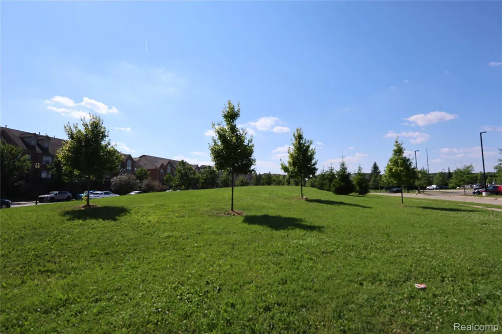 39460 SPRINGWATER DRIVE Northville Township, MI 48168