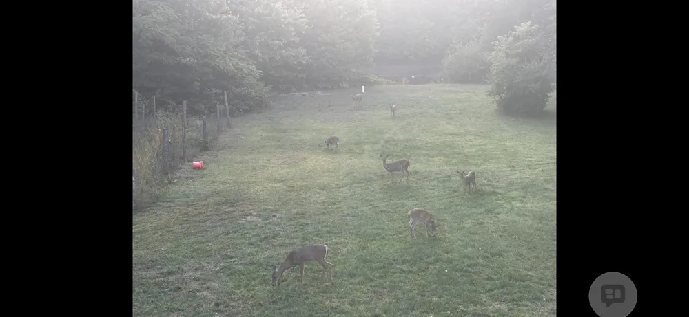 13324 Hickory Road Crockery Township, MI 49415