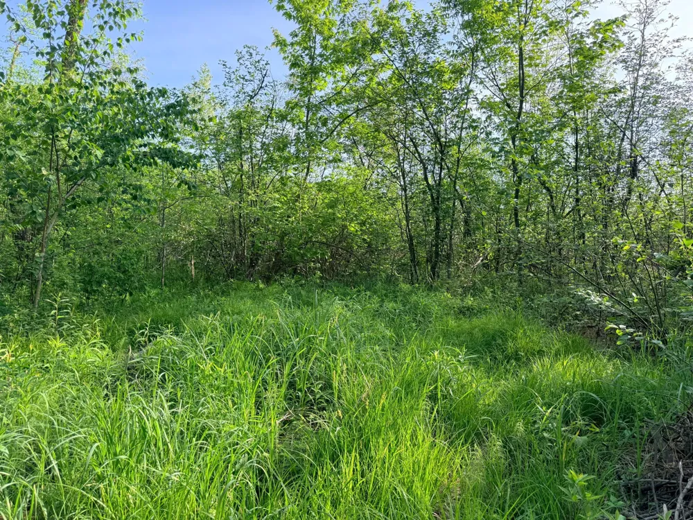TBD Highway 65 Isle, MN 56342