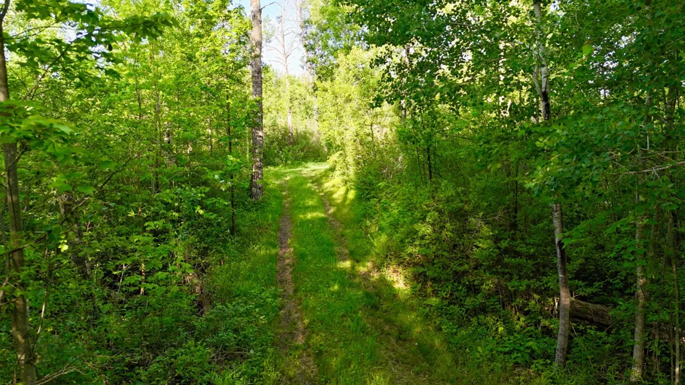 TBD Highway 65 Isle, MN 56342