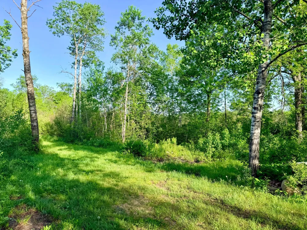TBD Highway 65 Isle, MN 56342