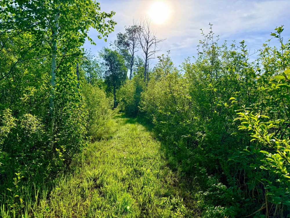 TBD Highway 65 Isle, MN 56342