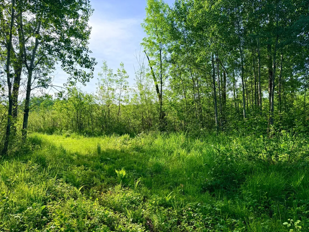 TBD Highway 65 Isle, MN 56342