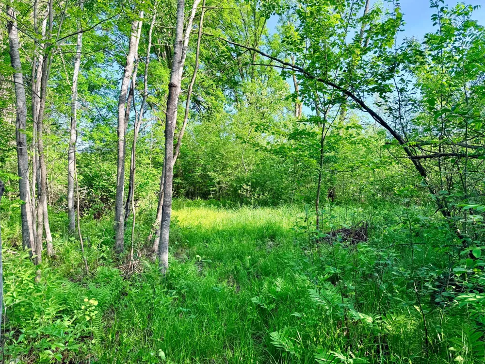 TBD Highway 65 Isle, MN 56342