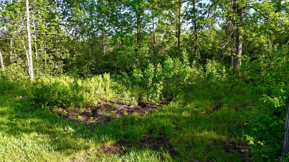 TBD Highway 65 Isle, MN 56342