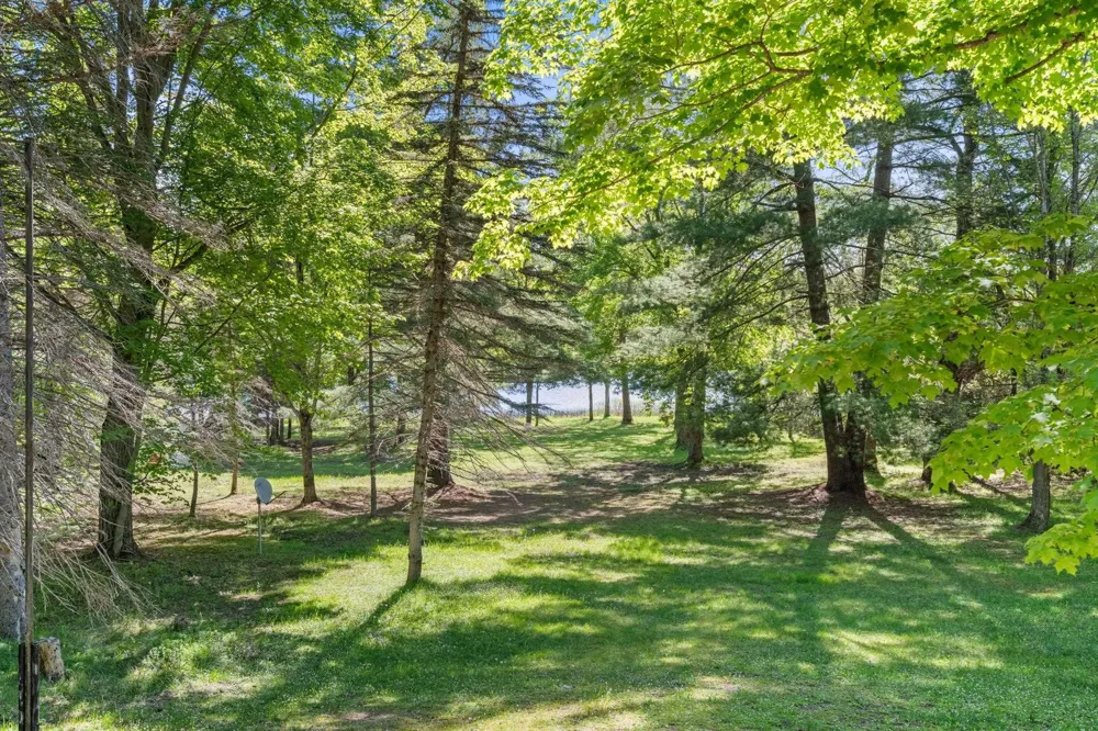 5252 Six Mile Lake Road South Arm Township, MI 49729