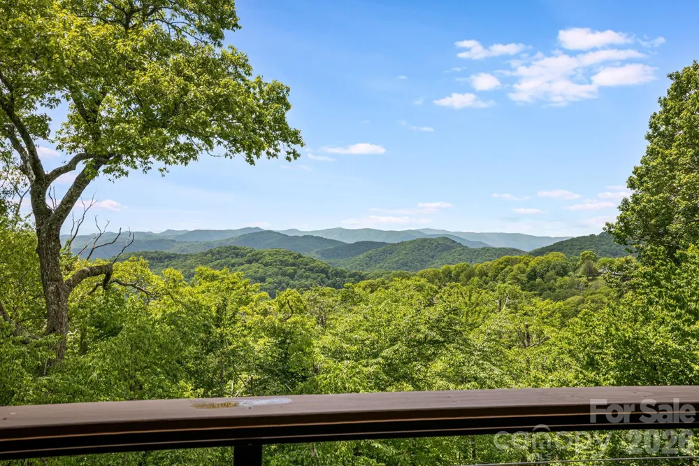 721 Mckinney Gap Drive Mars Hill, NC 28754