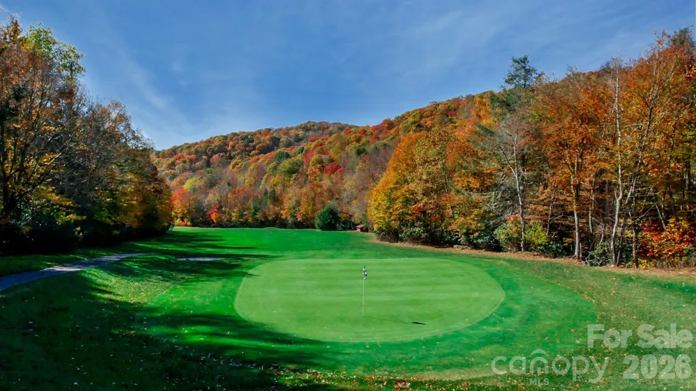 721 Mckinney Gap Drive Mars Hill, NC 28754