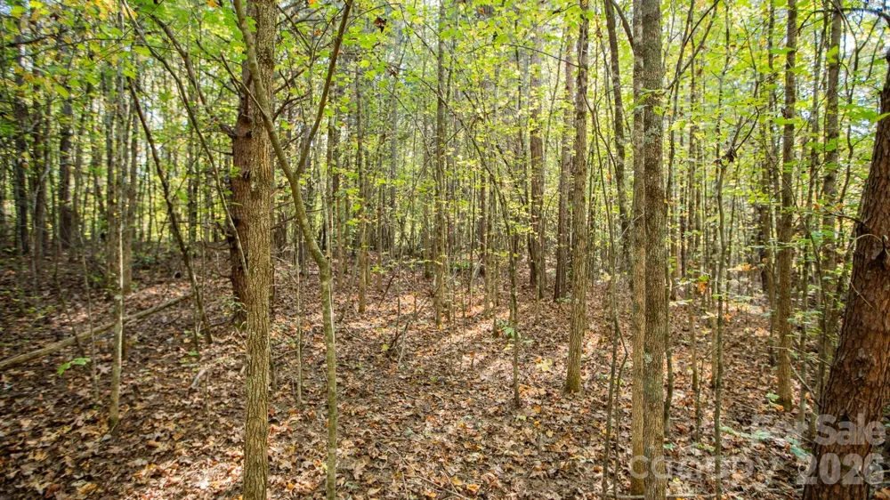 000 Industrial Park Road Lincolnton, NC 28092