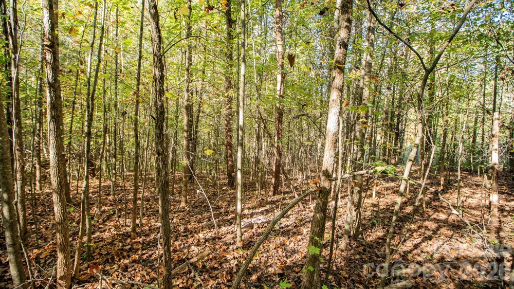 000 Industrial Park Road Lincolnton, NC 28092