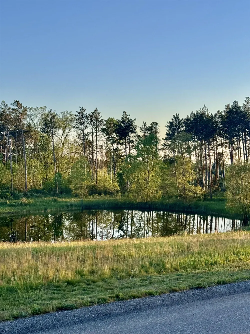 4684 Panorama Drive Nw Clearwater Township, MI 49676