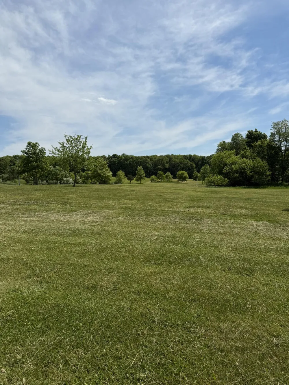 1111 Lake Pleasant Road Adams Township, MI 49242