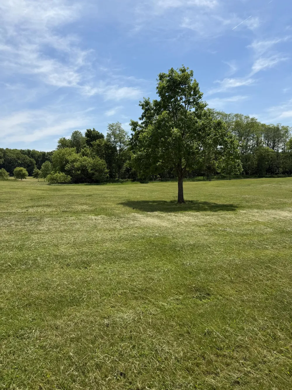 1111 Lake Pleasant Road Adams Township, MI 49242