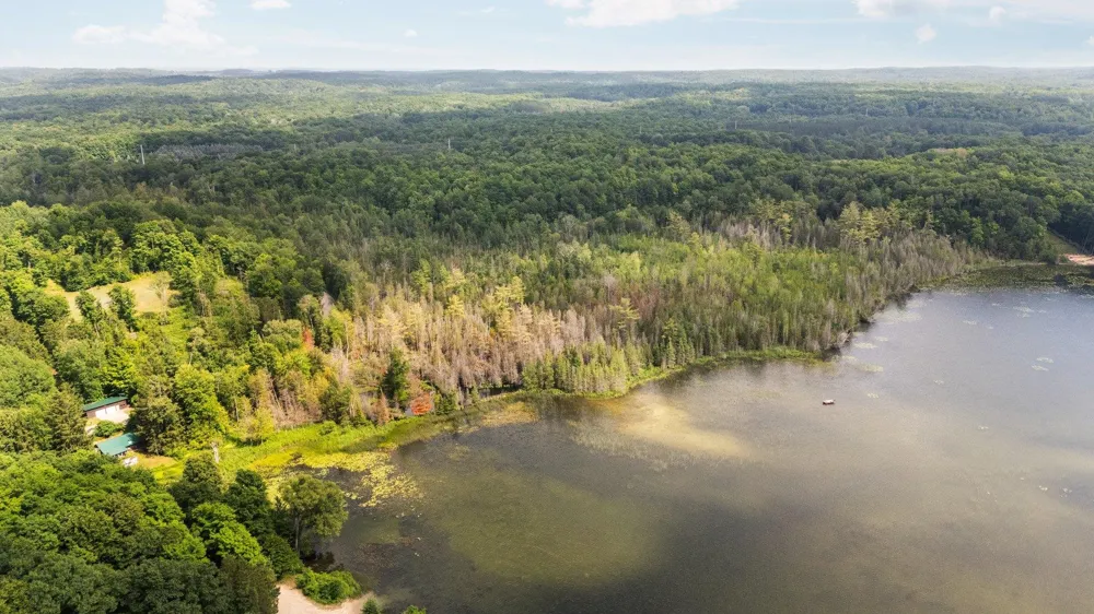 8370 Lake Of The Woods Road Custer Township, MI 49615