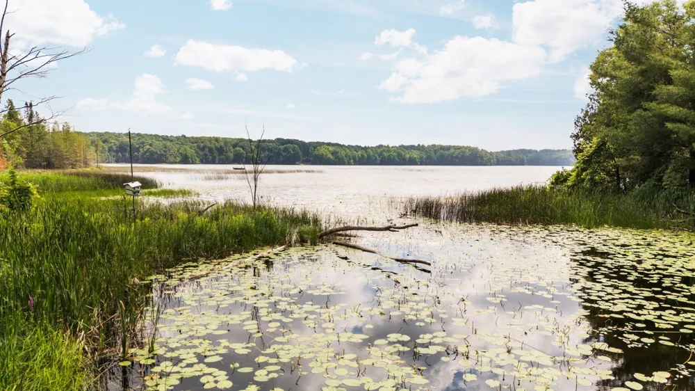 8370 Lake Of The Woods Road Custer Township, MI 49615