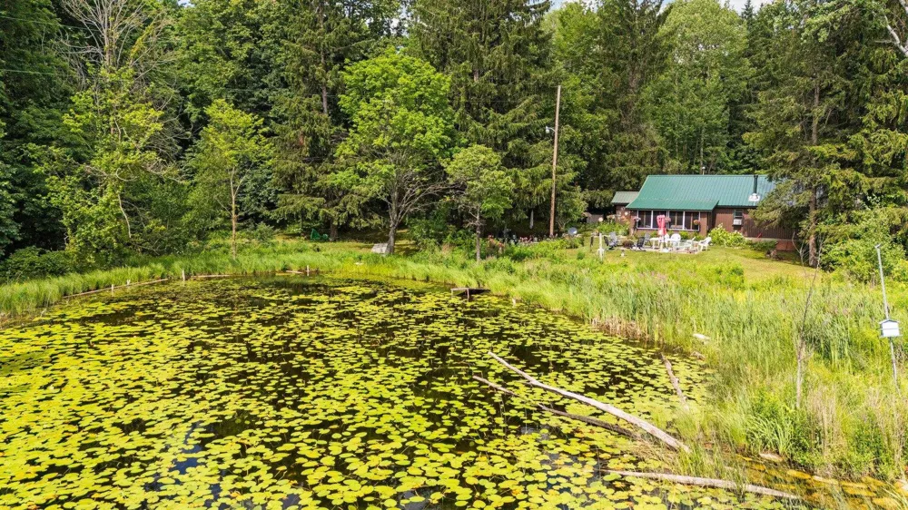8370 Lake Of The Woods Road Custer Township, MI 49615