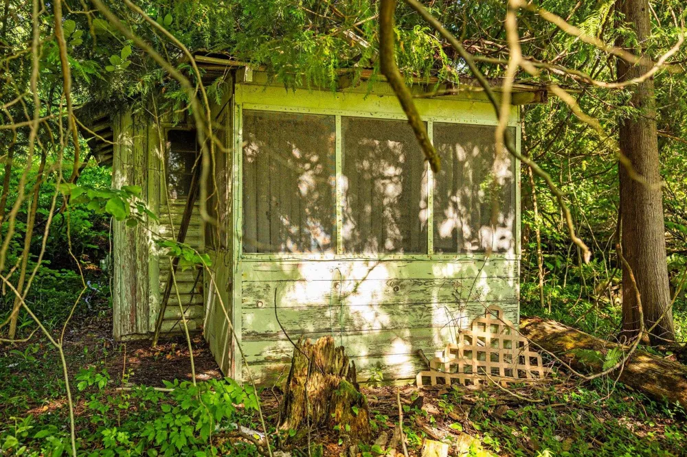 8370 Lake Of The Woods Road Custer Township, MI 49615