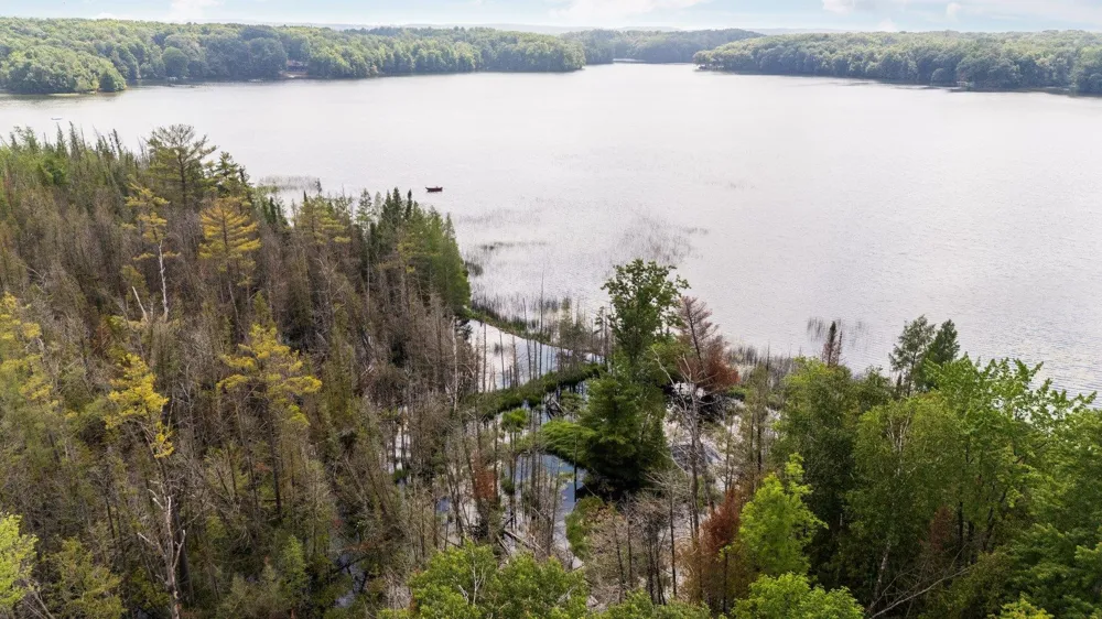 8370 Lake Of The Woods Road Custer Township, MI 49615