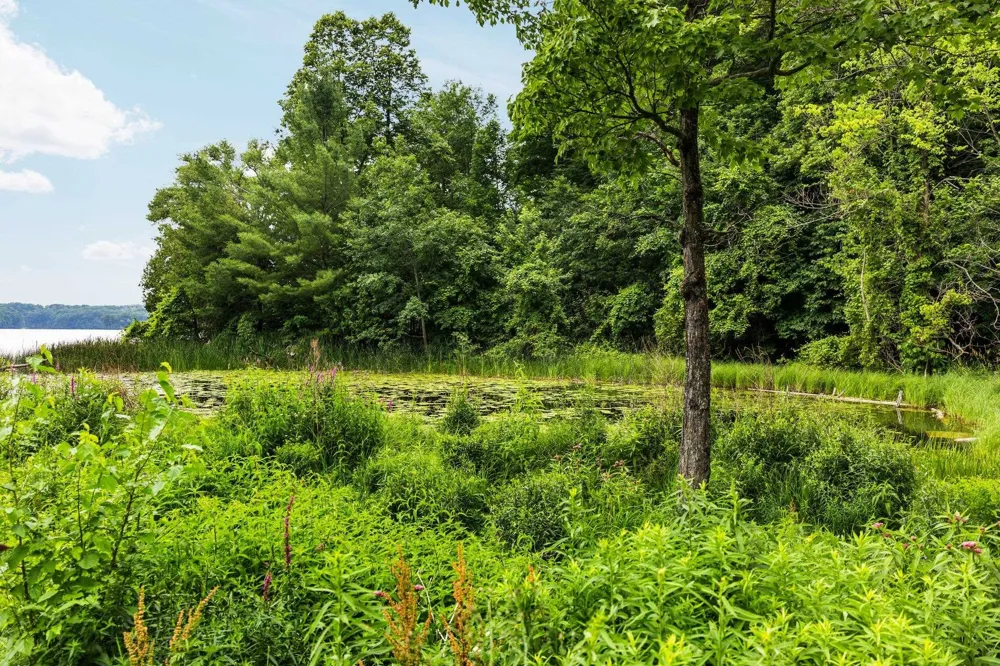 8370 Lake Of The Woods Road Custer Township, MI 49615