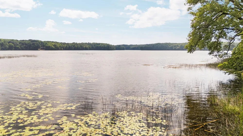 8370 Lake Of The Woods Road Custer Township, MI 49615