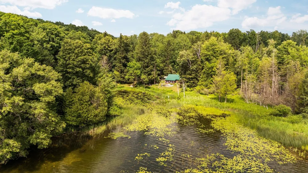 8370 Lake Of The Woods Road Custer Township, MI 49615