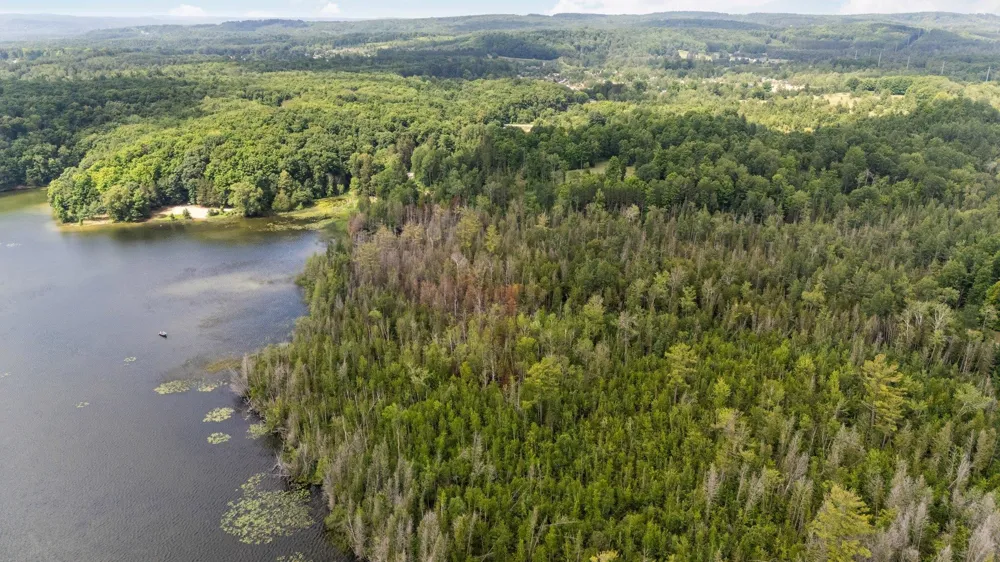 8370 Lake Of The Woods Road Custer Township, MI 49615