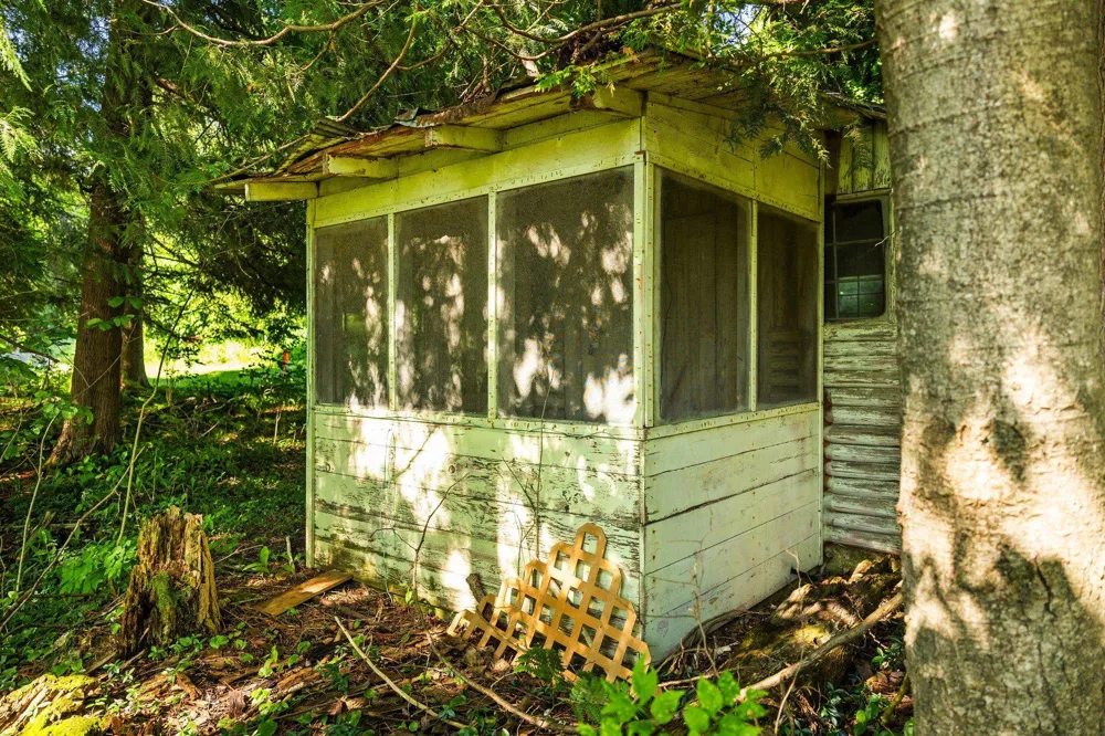 8370 Lake Of The Woods Road Custer Township, MI 49615