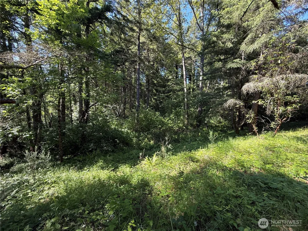 155 xx 62nd Avenue NW Gig Harbor, WA 98332