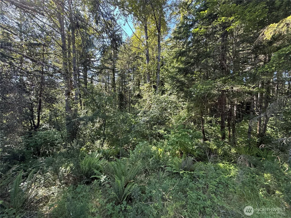 155 xx 62nd Avenue NW Gig Harbor, WA 98332