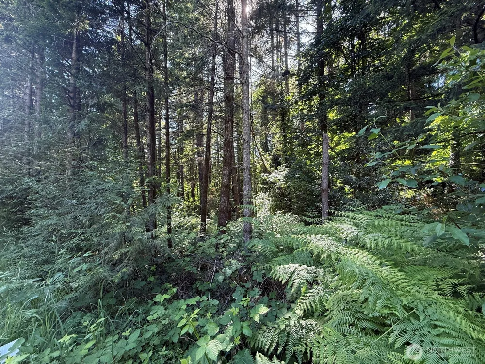 155 xx 62nd Avenue NW Gig Harbor, WA 98332