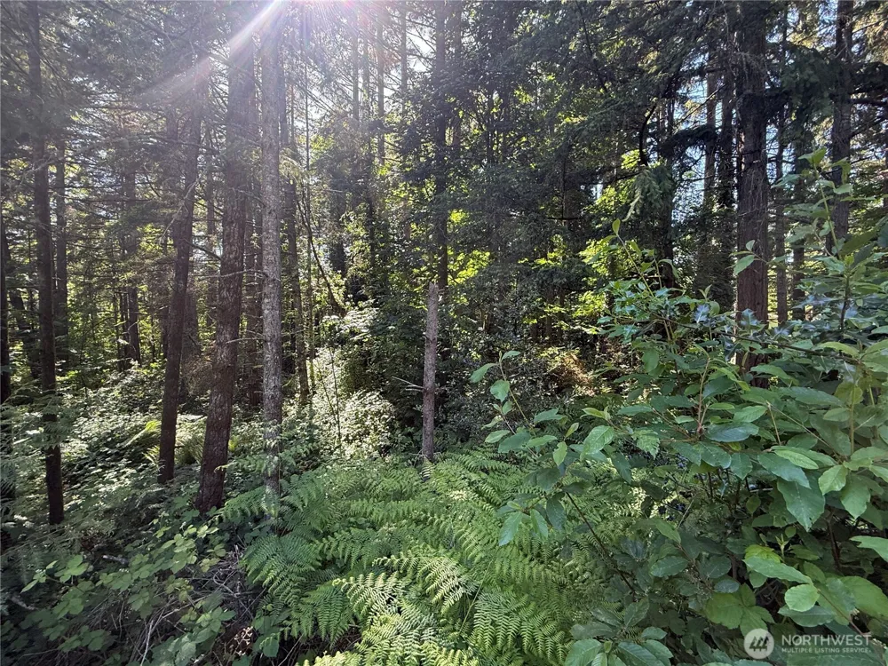 155 xx 62nd Avenue NW Gig Harbor, WA 98332