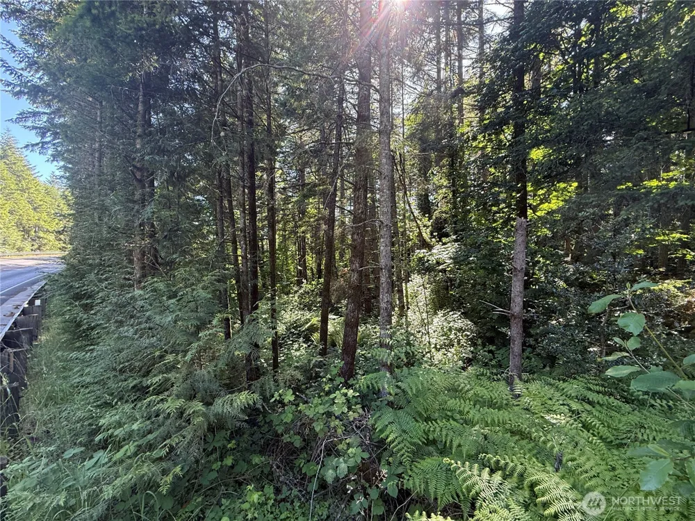 155 xx 62nd Avenue NW Gig Harbor, WA 98332
