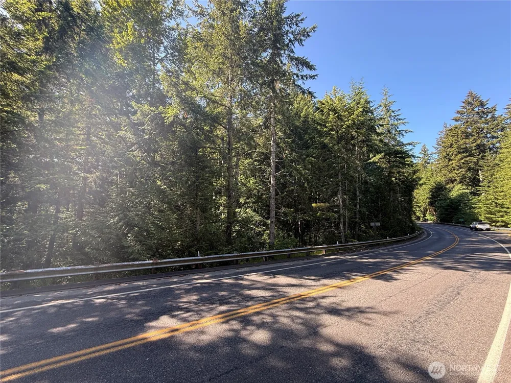 155 xx 62nd Avenue NW Gig Harbor, WA 98332