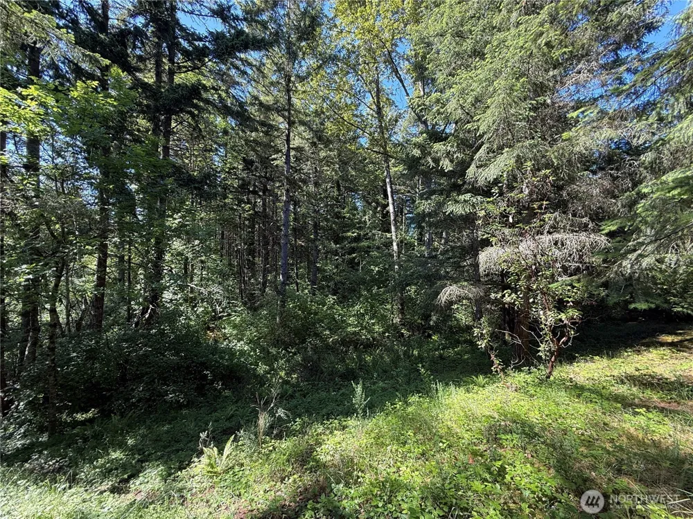 155 xx 62nd Avenue NW Gig Harbor, WA 98332