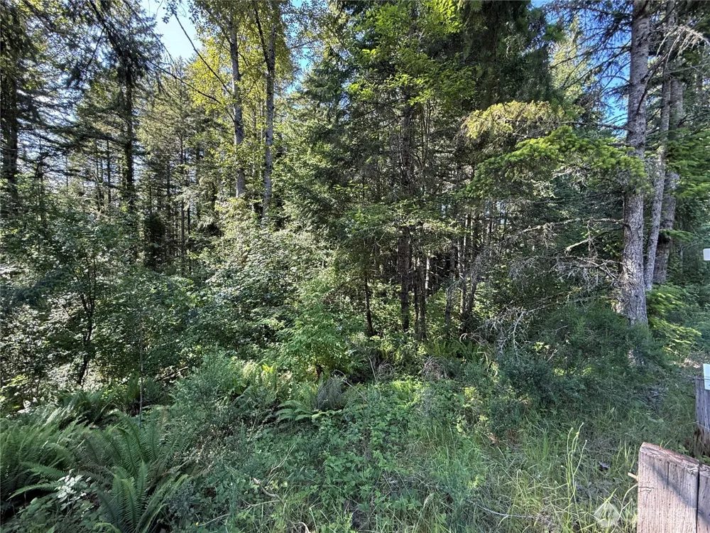 155 xx 62nd Avenue NW Gig Harbor, WA 98332