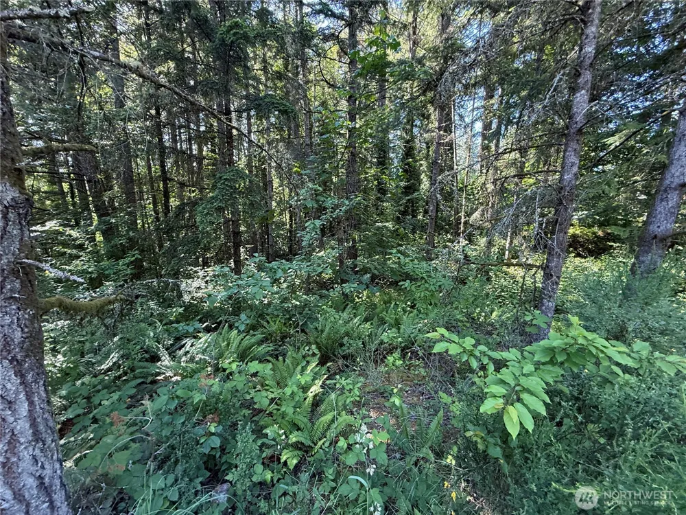 155 xx 62nd Avenue NW Gig Harbor, WA 98332