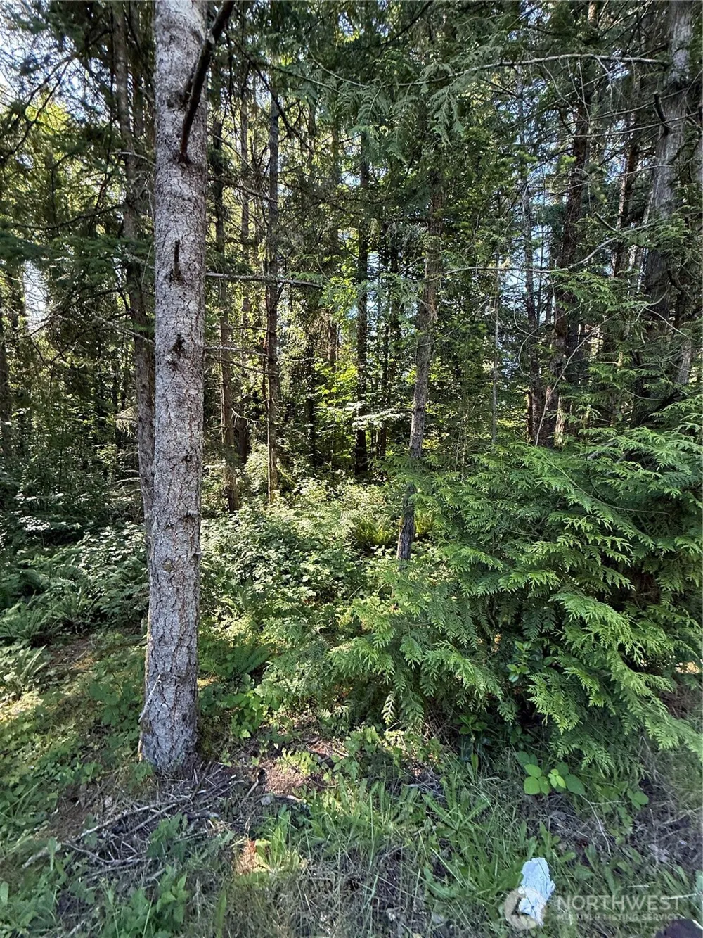 155 xx 62nd Avenue NW Gig Harbor, WA 98332
