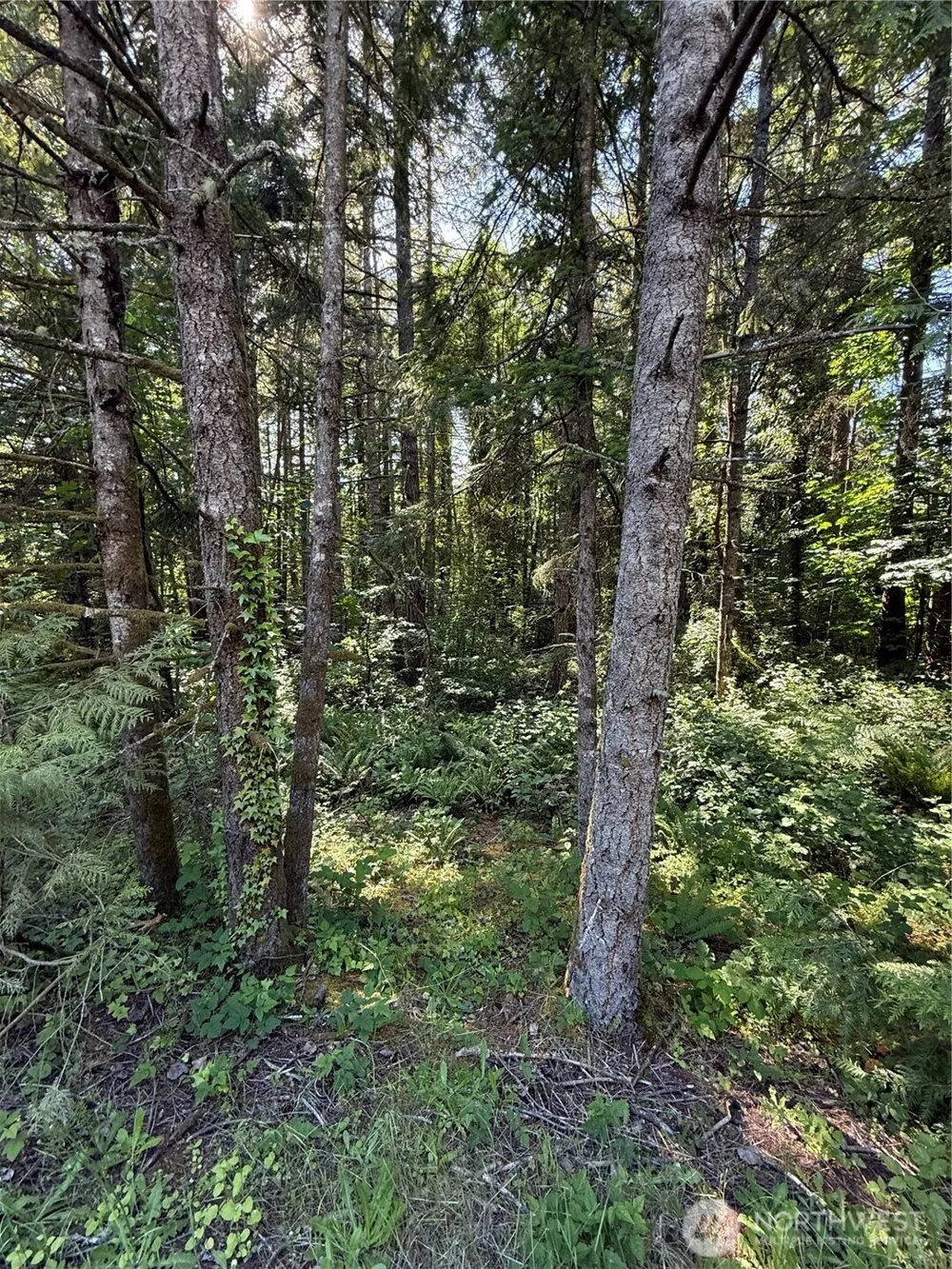 155 xx 62nd Avenue NW Gig Harbor, WA 98332