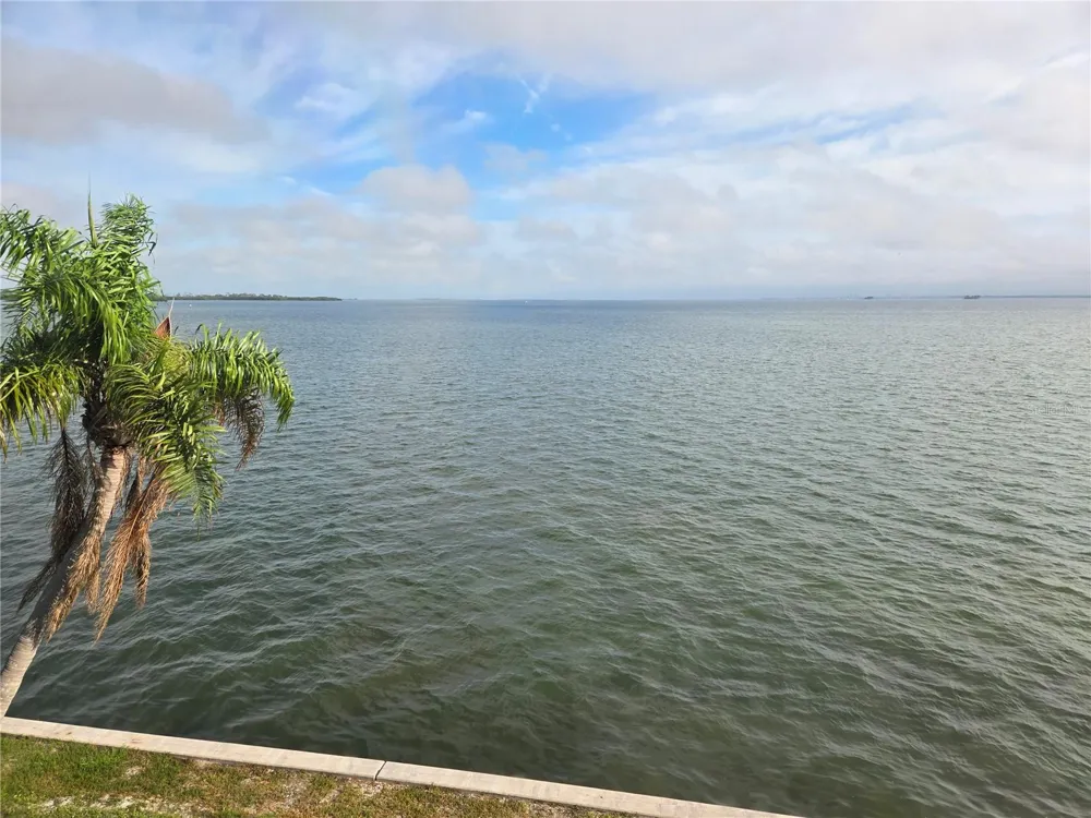 7 DUNOON PLACE #309 Dunedin, FL 34698