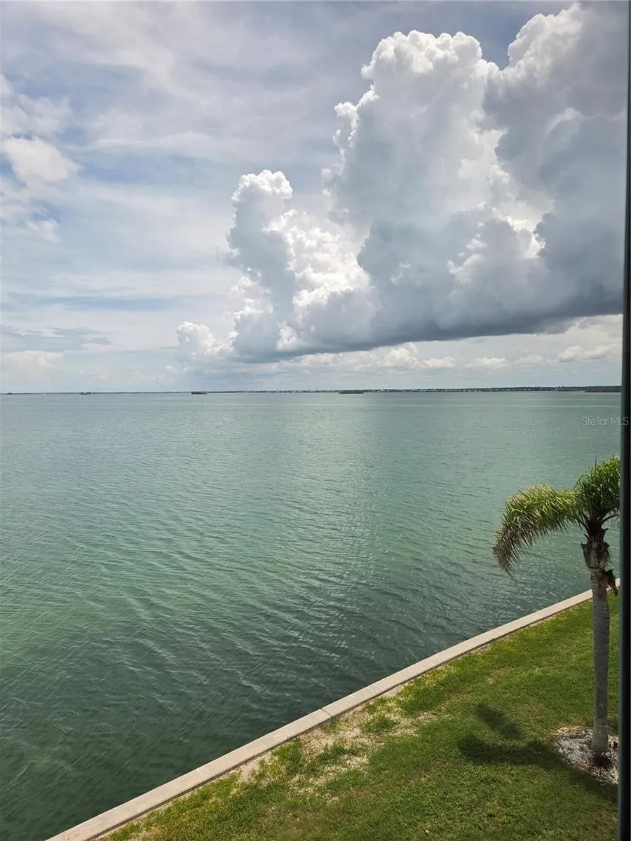 7 DUNOON PLACE #309 Dunedin, FL 34698