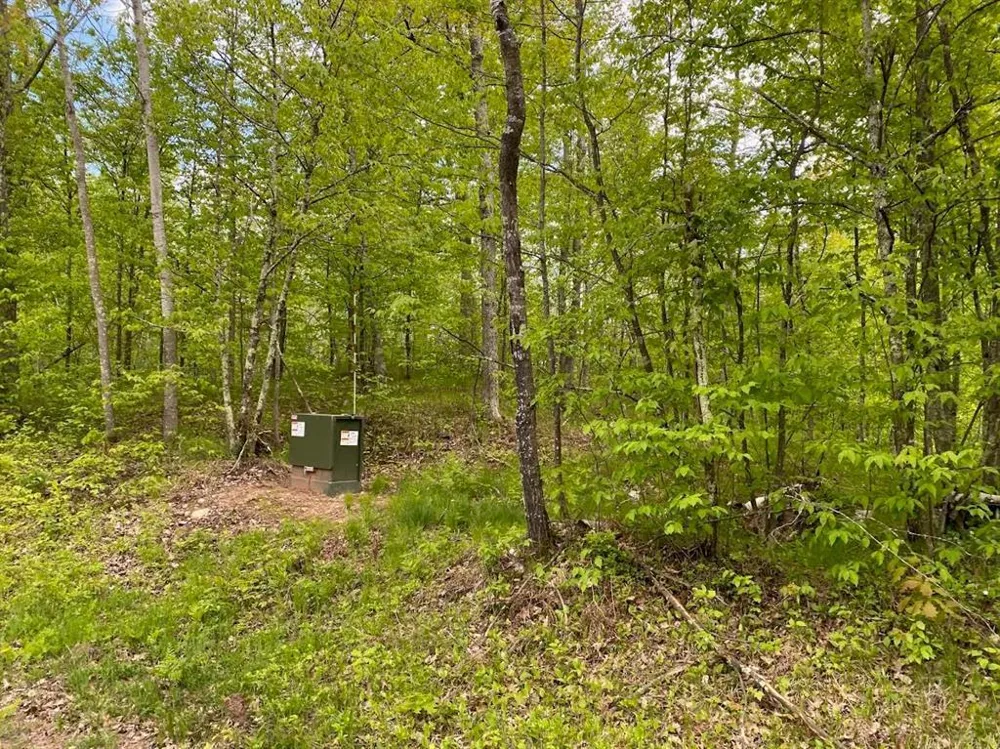 Lot 8 Hustvet Minong, WI 54888