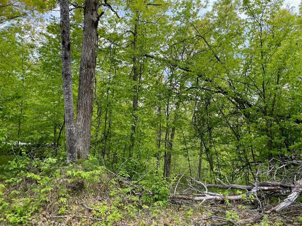 Lot 8 Hustvet Minong, WI 54888