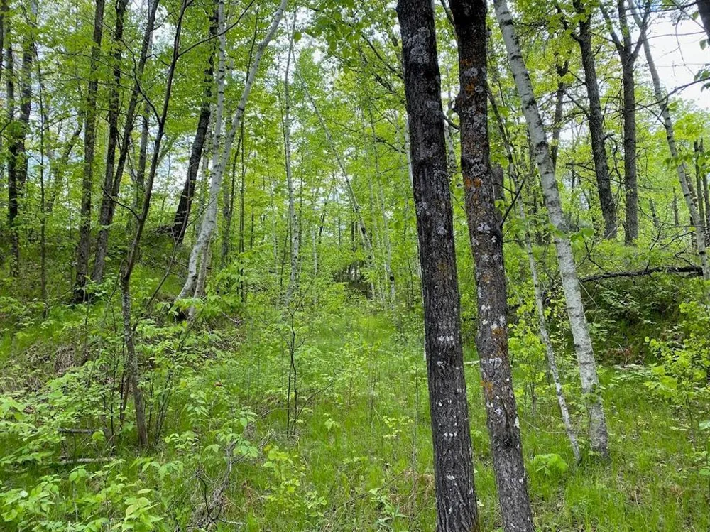 Lot 8 Hustvet Minong, WI 54888