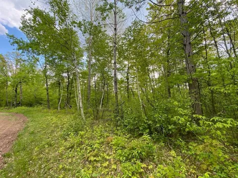 Lot 9 Hustvet