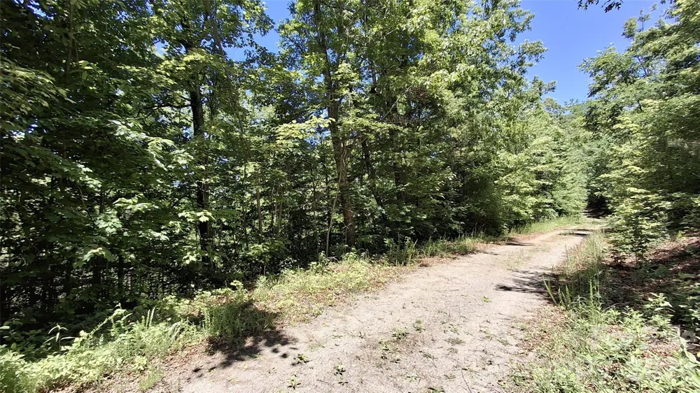 272 Kako Ridge #64 Sylva, NC 28779