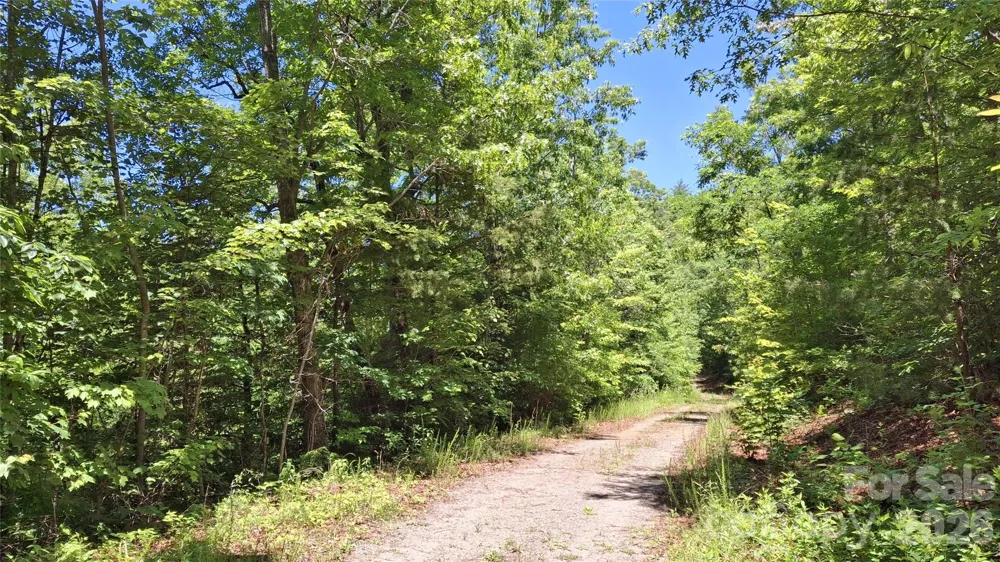 272 Kako Ridge #64 Sylva, NC 28779