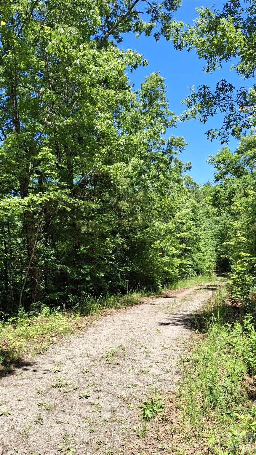 272 Kako Ridge #64 Sylva, NC 28779